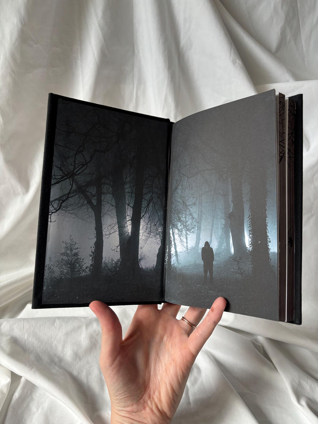 Little Stranger | Leigh Rivers