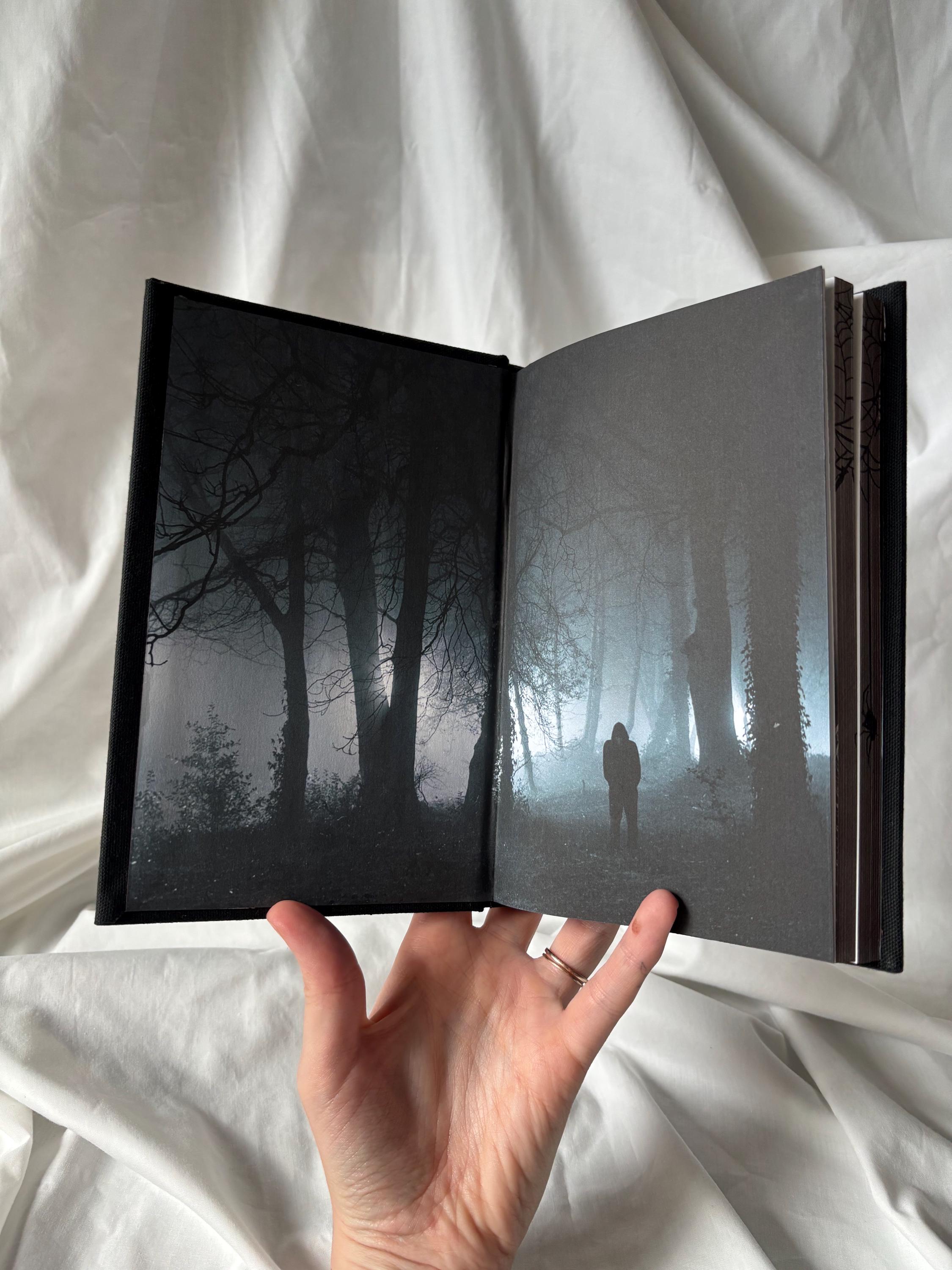 Little Stranger | Leigh Rivers
