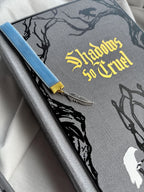 Court of Ravens Duet | rebound special edition book set | Liv Zander
