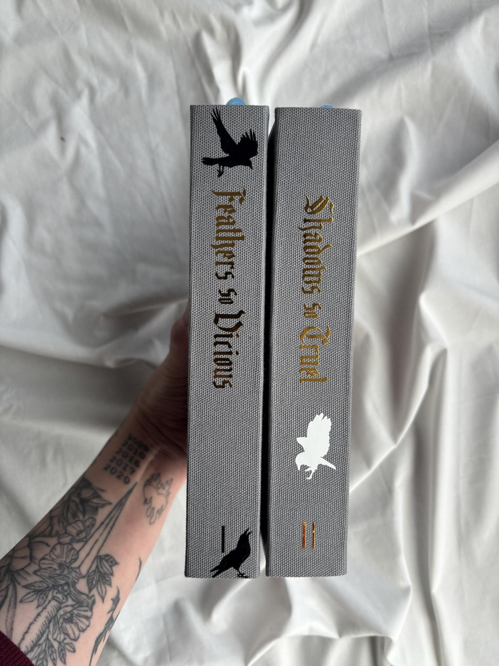 Court of Ravens Duet | rebound special edition book set | Liv Zander
