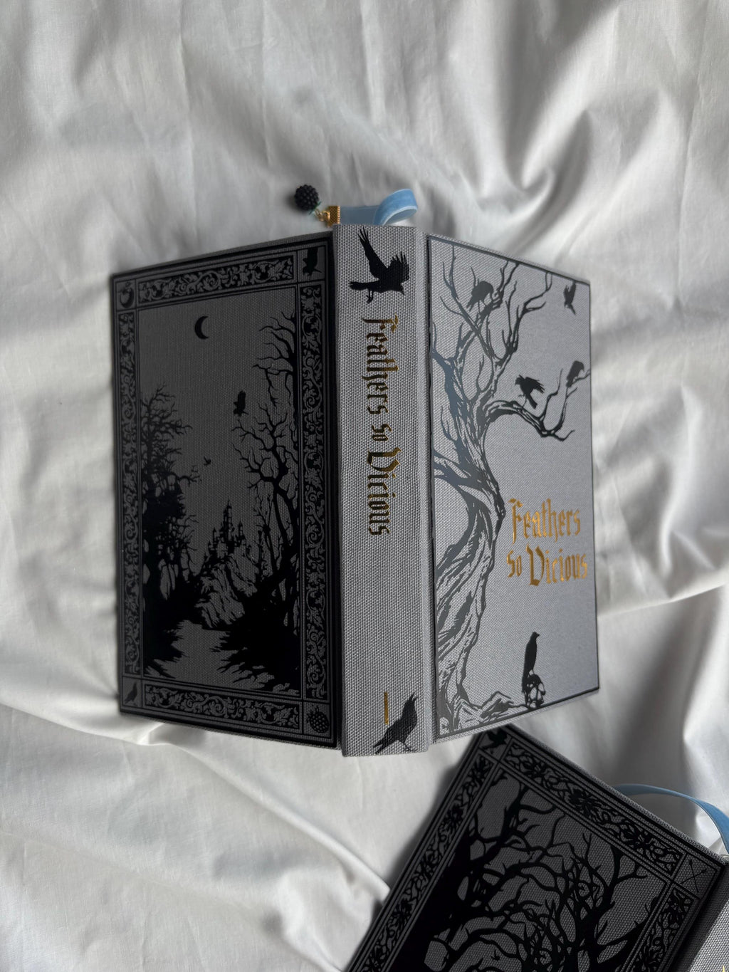 Court of Ravens Duet | rebound special edition book set | Liv Zander