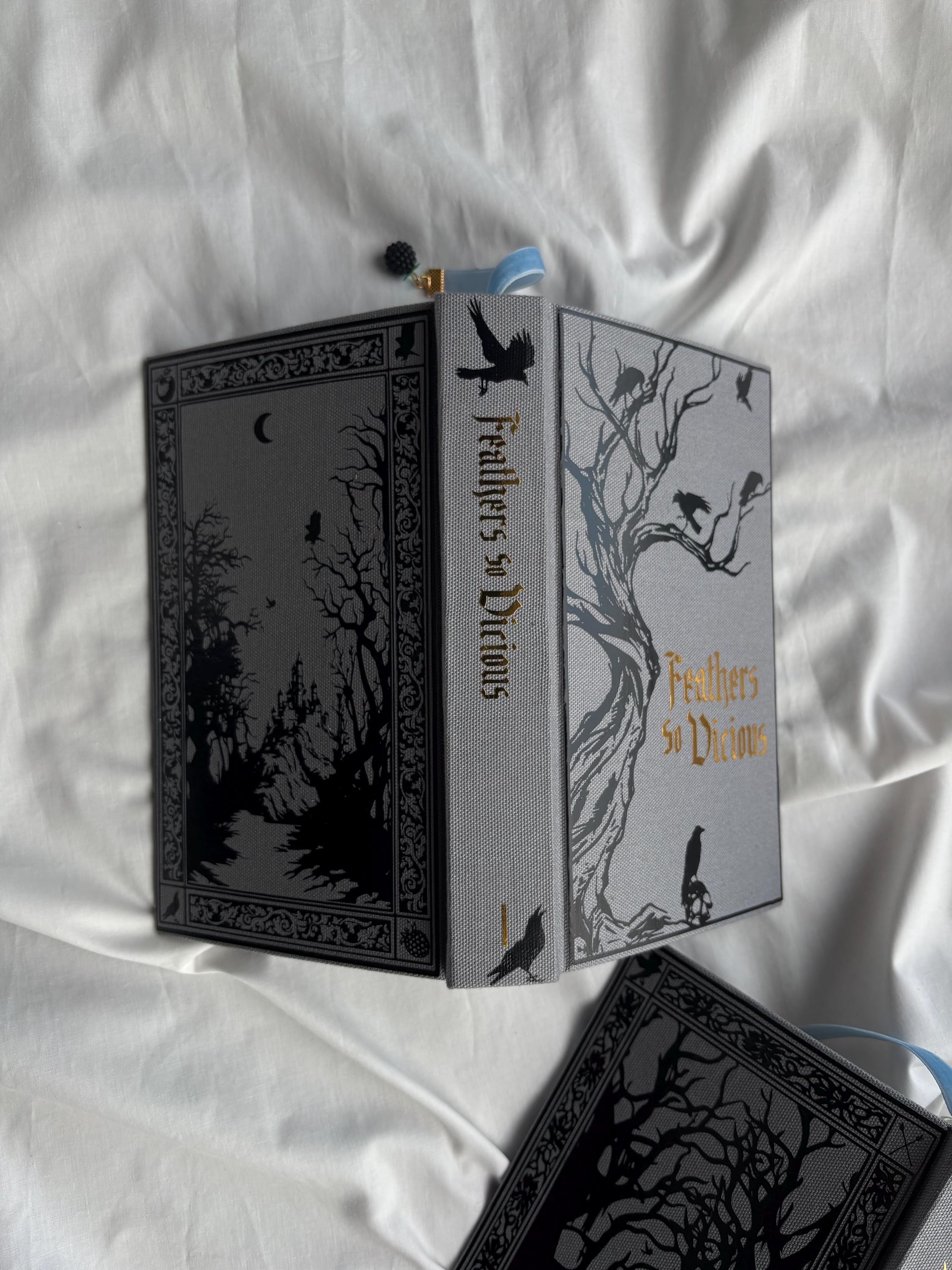 Court of Ravens Duet | rebound special edition book set | Liv Zander
