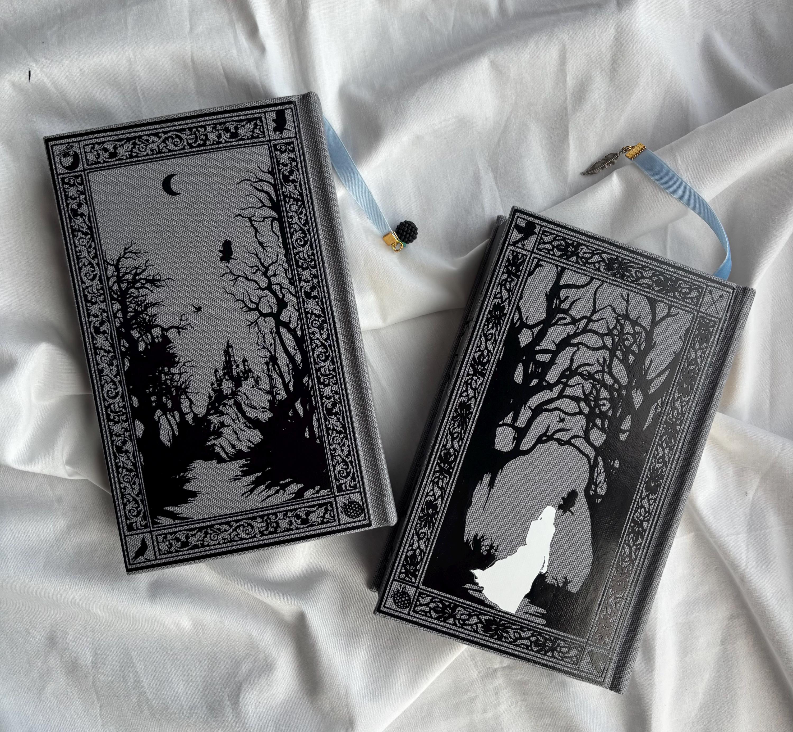 Court of Ravens Duet | rebound special edition book set | Liv Zander