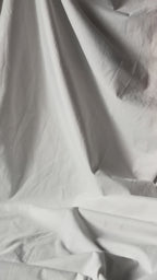 Court of Ravens Duet | rebound special edition book set | Liv Zander