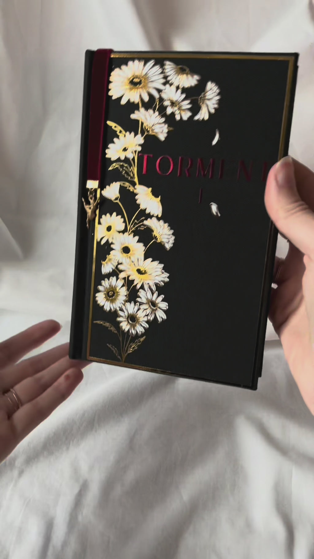 Court of Ravens Duet | rebound special edition book set | Liv Zander
