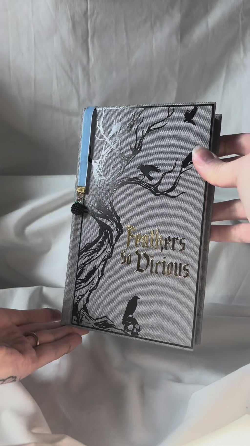 Court of Ravens Duet | rebound special edition book set | Liv Zander
