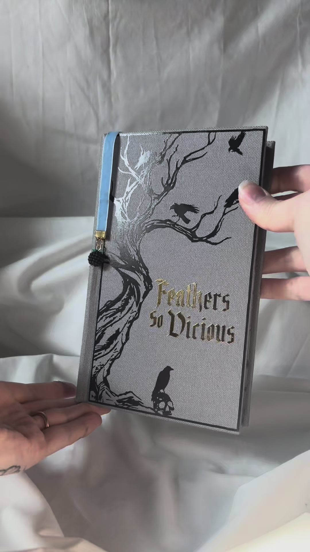 Court of Ravens Duet | rebound special edition book set | Liv Zander